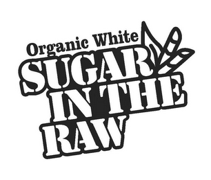 ORGANIC WHITE SUGAR IN THE RAW logo