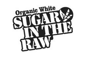 ORGANIC WHITE SUGAR IN THE RAW logo