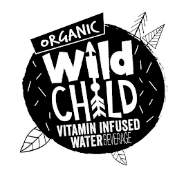 ORGANIC WILDCHILD VITAMIN INFUSED WATER BEVERAGE logo