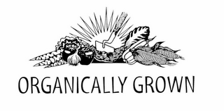 ORGANICALLY GROWN