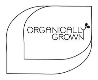 ORGANICALLY GROWN logo
