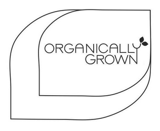 ORGANICALLY GROWN logo