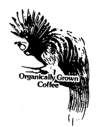 ORGANICALLY GROWN COFFEE