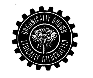 ORGANICALLY GROWN ETHICALLY WILDCRAFTED logo