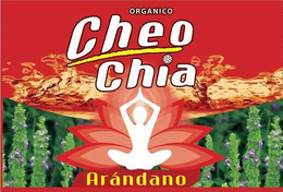 ORGANICO CHEO CHIA ARÁNDANO logo