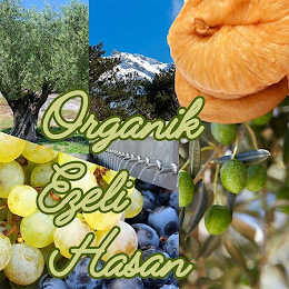 ORGANIK EZELI HASAN logo
