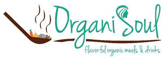 ORGANISOUL FLAVORFUL ORGANIC MEALS AND DRINKS logo