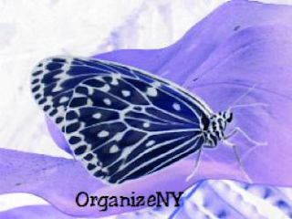 ORGANIZENY logo
