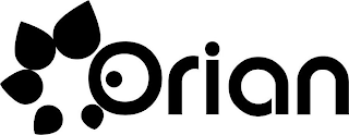 ORIAN logo