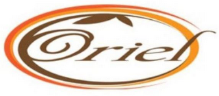 ORIEL logo