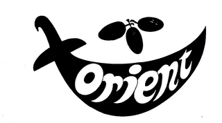 ORIENT logo