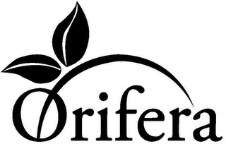 ORIFERA