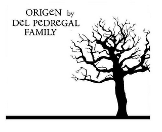 ORIGEN BY DEL PEDREGAL FAMILY logo