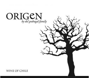 ORIGEN BY DEL PEDREGAL FAMILY WINE OF CHILE logo