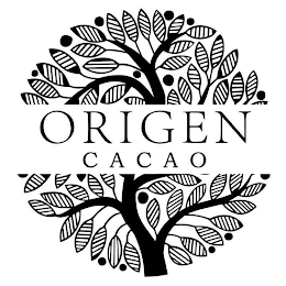 ORIGEN CACAO logo