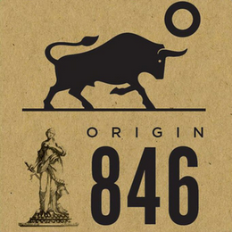 ORIGIN 846 logo