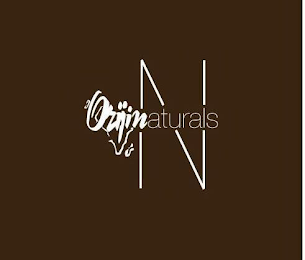 ORIJIN NATURALS logo