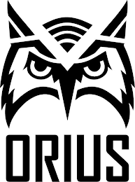 ORIUS logo