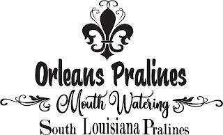 ORLEANS PRALINES MOUTH WATERING SOUTH LOUISIANA PRALINES logo