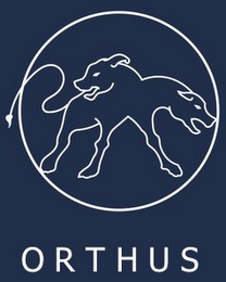 ORTHUS logo
