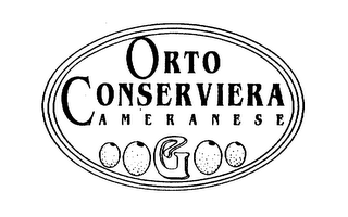 ORTO CONSERVIERA AMERANESE logo
