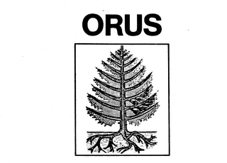 ORUS logo