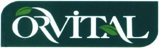 ORVITAL logo