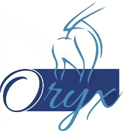 ORYX logo