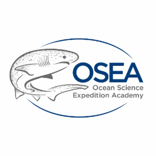 OSEA OCEAN SCIENCE EXPEDITION ACADEMY