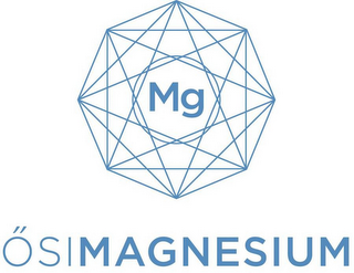 OSIMAGNESIUM MG logo