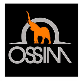 OSSIM logo