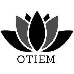 OTIEM logo