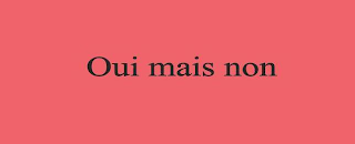 OUI MAIS NON logo