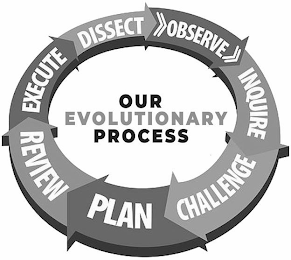 OUR EVOLUTIONARY PROCESS DISSECT OBSERVE INQUIRE CHALLENGE PLAN REVIEW EXECUTE logo