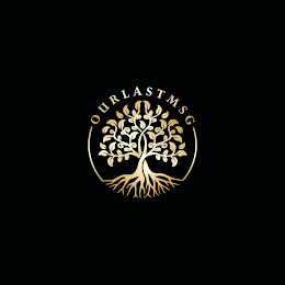 OUR LAST MSG logo