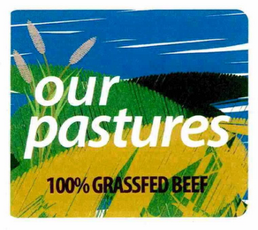 OUR PASTURES 100% GRASSFED BEEF logo
