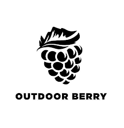 OUTDOOR BERRY logo