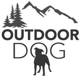 OUTDOOR DOG logo