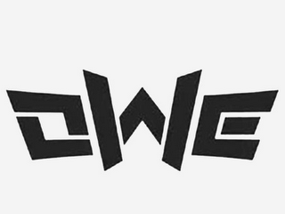 OWE logo