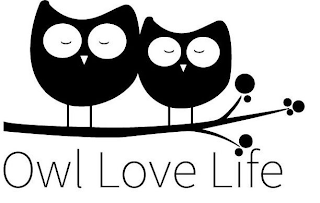 OWL LOVE LIFE logo