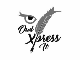 OWL XPRESS IT logo