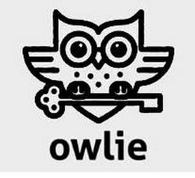 OWLIE logo