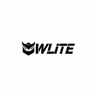 OWLITE logo
