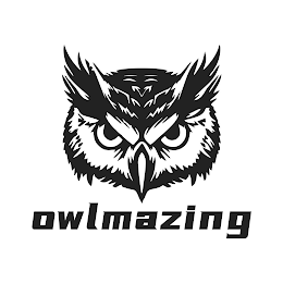 OWLMAZING logo