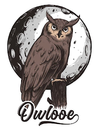OWLOOE logo