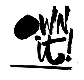OWN IT! logo