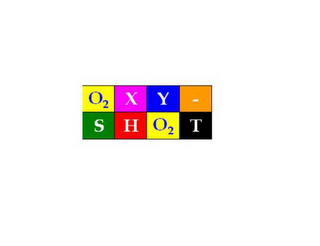 OXY-SHO2T logo