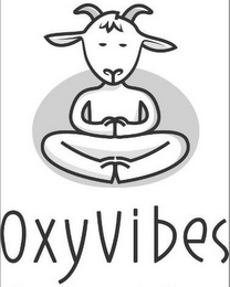 OXYVIBES logo