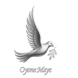 OYONE MEYE logo
