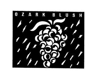 OZARK BLUSH logo